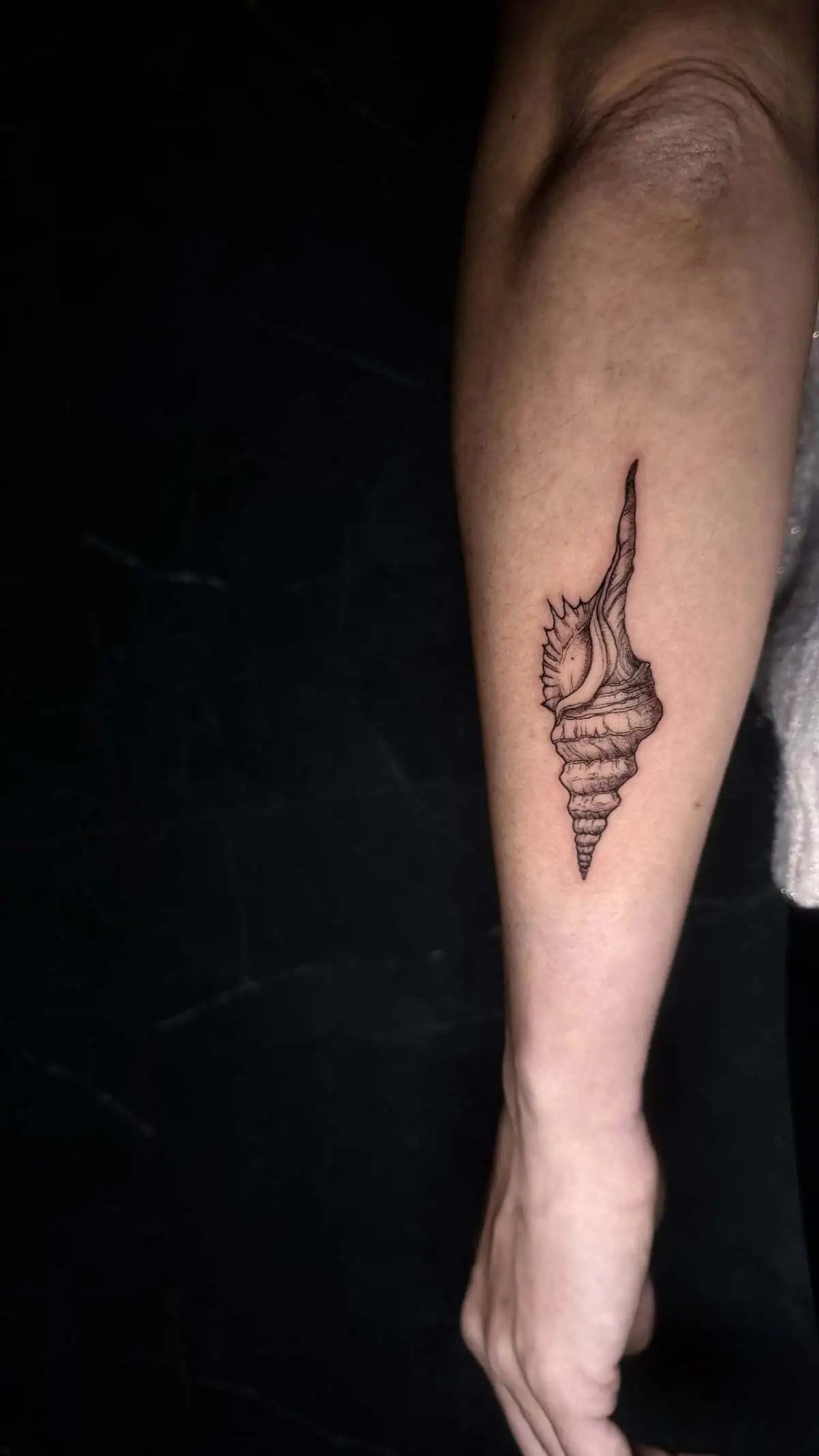 realistic seashell conch micro realism forearm tattoo