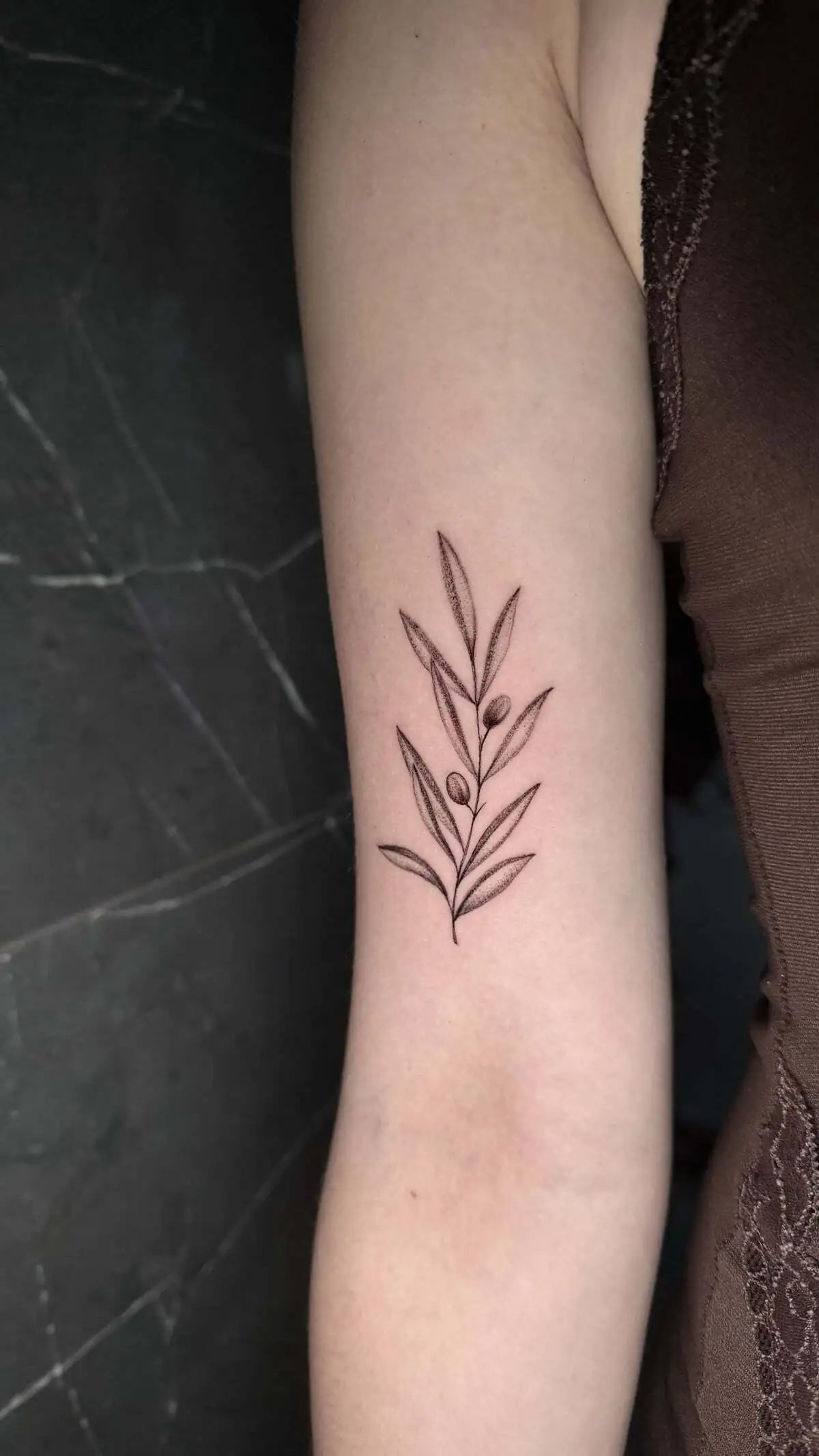 olive branch fine line micro realism forearm tattoo